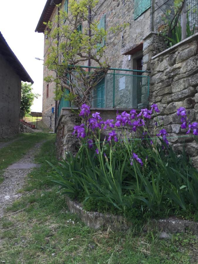 Apartamento Castello Di Urbech Pratovecchio Exterior foto
