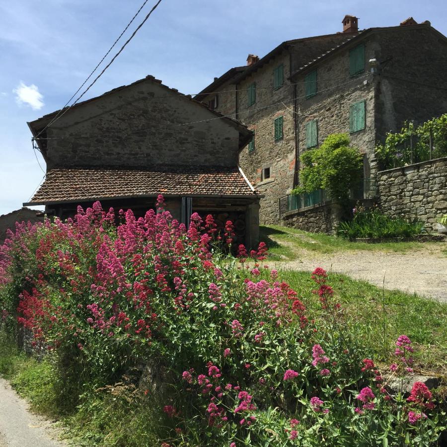 Apartamento Castello Di Urbech Pratovecchio Exterior foto
